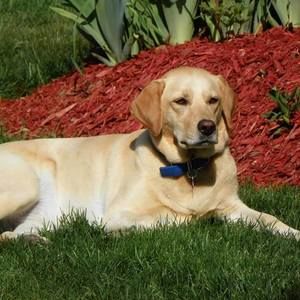 Meet your Posher, Cathy